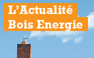 Toute l'actualité bois énergie