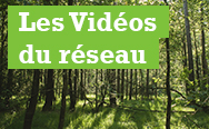 Les vidéos du réseau