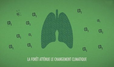 foret-publique-service-climat-5