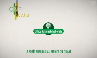 foret-publique-service-climat-7