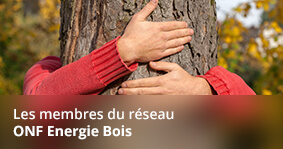 Les membres du réseau ONF Energie Bois