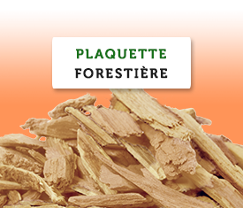 Plaquettes forestières Forêt Energie