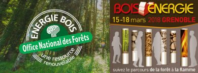Retour sur le Salon Bois Energie