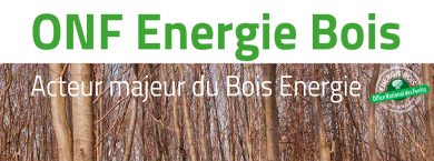 ONF Energie Bois dans Habitat Naturel