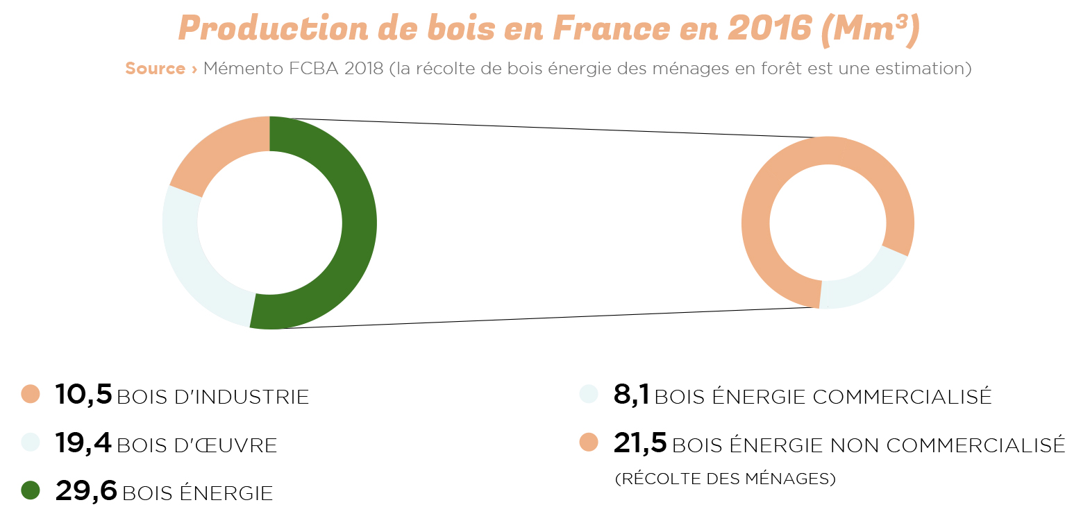 Qu'est-ce que le bois énergie ? - ONF Energie Bois