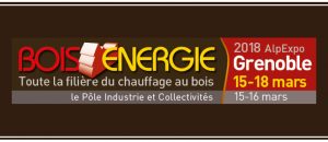 Retour sur le Salon Bois Energie