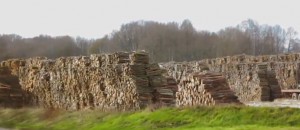 Les avantages du bois de chauffage ONF Énergie Bois