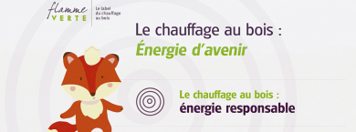 Flamme Verte : "Le chauffage au bois - Énergie d'avenir"