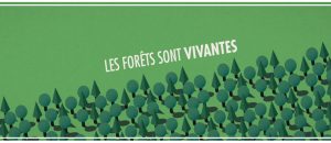 La forêt publique au service du climat