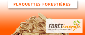 Plaquettes forestières