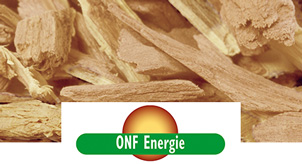 ONF Energie